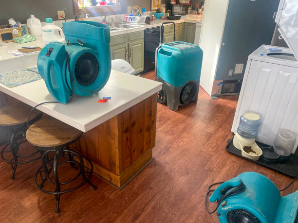 Best Professional water damage repair  in Sho Creek, AL