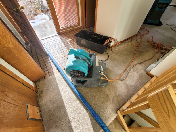 Best Commercial water damage restoration  in Sho Creek, AL