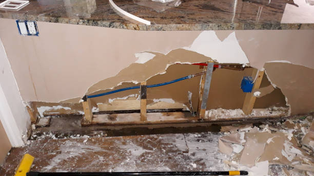 Best Water damage restoration near me  in Sho Creek, AL