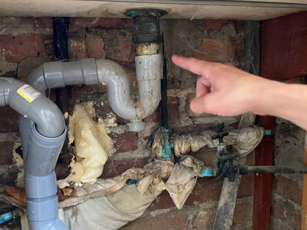 Best Water damage restoration near me  in Sho Creek, AL